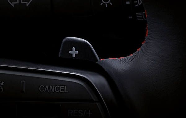 DECELERATION SELECTOR PADDLE